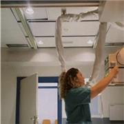 Estudiante de grado superior , doy clases particulares tanto online  como presencial